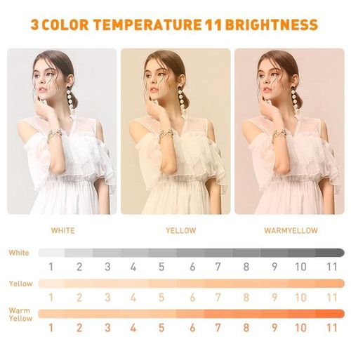 ARHANORY 6 " Ring Light Phone Stand Fill Light Phone Holder - 3 Color, USB Powered